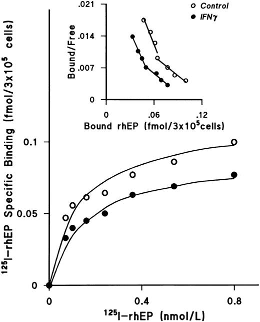 Fig. 5. IFNγ downregulates 125I-rhEP–specific binding to ECFCs. Incubations were performed as described in Fig 3. The plateau level of 125I-rhEP–specific binding was reached at a concentration of 0.8 nmol/L in both groups, and the level of specific binding in the rhIFNγ group (•) was lower than in the control group (○). Scatchard analysis showed high-affinity and lower-affinity classes of EP receptors, as published previously,25 and reduction of EP receptors after rhIFNγ-treatment, but no effect on the kd. A summary of triplicate experiments is shown in Table 2. ECFC purity in this experiment was 75% ± 5% in the control group and 75% ± 6% in the rhIFNγ group.