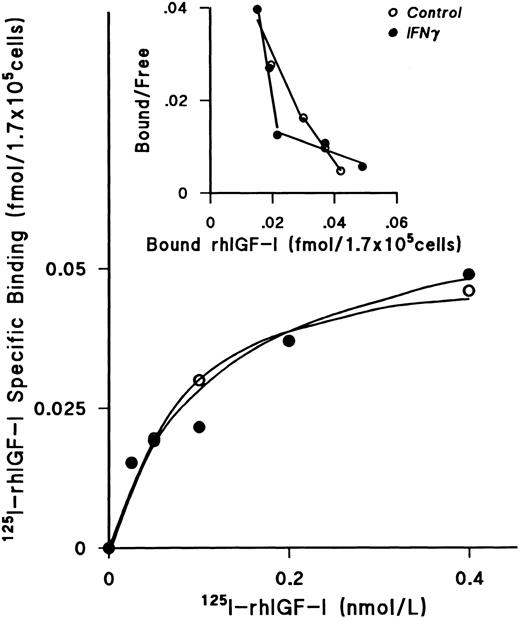 Fig. 6. Lack of effect of IFNγ on 125I-rhIGF-I–specific binding to ECFCs. The plateau level of 125I-rhIGF-I–specific binding was reached at a concentration of 0.4 nmol/L, and the level of specific binding in both the control (○) and rhIFNγ (•) groups was not significantly different. Scatchard analysis showed two classes of receptors, as previously published,26 but no significant change was observed after rhIFNγ treatment. A summary of triplicate experiments is shown in Table 3. ECFC purity in this experiment was 79% ± 4% in the control group and 76% ± 5% in the rhIFNγ group.