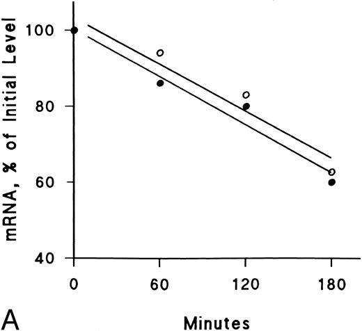 Fig. 8. Lack of effect of IFNγ on decay of SCF and EP receptor mRNA after actinomycin D treatment. Day-6 cells were incubated with (•) or without (○) 2,500 U/mL rhIFNγ for 3 hours and then RNA synthesis was inhibited with actinomycin D (5 μg/mL). Total RNA was extracted at the indicated time periods for Northern analysis. The membrane was hybridized sequentially with SCF (A) and EP (B) receptor 32P-DNA probes, as well as a probe for actin, and densitometry was performed with correction for loading variations. The purity of control cells was 48% ± 3% and the purity of rhIFNγ-treated cells was 46% ± 2% (mean ± SD of 3 experiments).