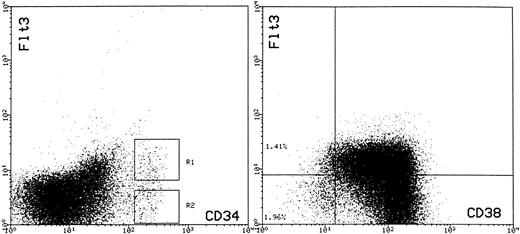 Fig. 7. Expression of FLT3 on CD34+ cells (left-hand panel) and coexpression of CD38 and FLT3 on CD34+ BM cells (right-hand panel). For analysis of FLT3 expression, BM MNC cells were stained simultaneously with HPCA-2–FITC and BV10-PE. Cells within region 1 (R1) were considered as CD34+FLT3+ and those in region 2 (R2) were considered as CD34+FLT3−. The right-hand panel shows expression of CD38 (FITC) and FLT3 (PE) on CD34+ cells enriched by 561-Dynal bead enrichment. The cell suspension contained 98.6% CD34+ cells. The quadstat is positioned to indicate the level of PE staining observed with the IgG-PE control.