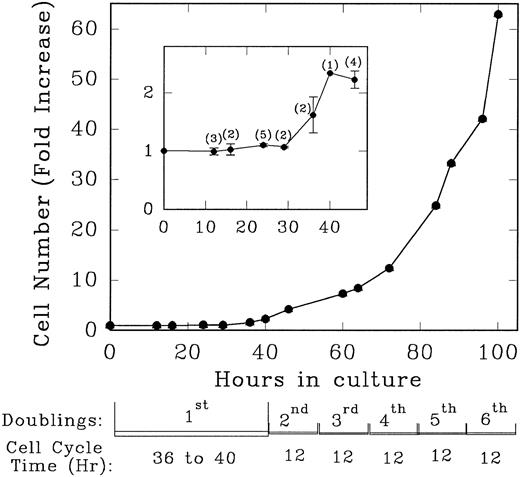 Fig. 1. Growth rate and the doubling time of Lin− Rholow/Holow cells incubated in the presence of medium containing IL-3, IL-6, IL-11, and SCF. Immediately after their purification, Lin− Rholow/Holow cells were suspended at 10 × 103 cells/mL in medium containing 4 cytokines and incubated at 37°C in a 5% CO2 containing humidified incubator as described in the Materials and Methods. At indicated intervals, duplicate aliquots of cells from growing culture were counted using a hemocytometer. The numbers in the parentheses of the insert indicate the number of experiments from which the values for that particular time point were obtained.