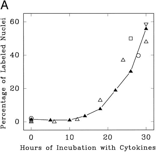Fig. 3. Progression of cytokine-stimulated Lin− Rholow/Holow cells through G0 /G1 and into S phase. Lin− Rholow/Holow were incubated in medium containing a cocktail of either 4 cytokines (IL-3, IL-6, IL-11, and SCF; A) or 7 cytokines (IL-3, IL-1α, GM-CSF, G-CSF, SCF, FGF, and CSF-1; B), and at indicated intervals duplicate aliquots of cells were analyzed for 3H-thymidine incorporation followed by autoradiography to assess the percentage of cells with labeled nuclei as described in the Materials and Methods. Each set of symbols in (A) represents observations from separate individual experiments.
