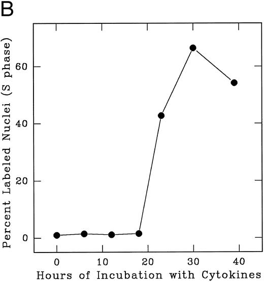 Fig. 3. Progression of cytokine-stimulated Lin− Rholow/Holow cells through G0 /G1 and into S phase. Lin− Rholow/Holow were incubated in medium containing a cocktail of either 4 cytokines (IL-3, IL-6, IL-11, and SCF; A) or 7 cytokines (IL-3, IL-1α, GM-CSF, G-CSF, SCF, FGF, and CSF-1; B), and at indicated intervals duplicate aliquots of cells were analyzed for 3H-thymidine incorporation followed by autoradiography to assess the percentage of cells with labeled nuclei as described in the Materials and Methods. Each set of symbols in (A) represents observations from separate individual experiments.