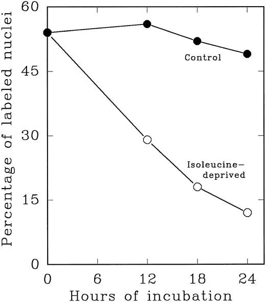 Fig. 4. Cytokine-stimulated Lin− Rholow/Holow cells in first S phase are blocked in subsequent G0 /G1 phase by isoleucine-deprivation. Lin− Rholow/Holow cells were incubated in medium containing a cocktail of 4 cytokines (IL-3, IL-6, IL-11, and SCF ) at 37°C in a humidified incubator with 5% CO2 . Thirty hours later, when about 60% of the cells are in S phase, the total culture was divided into two groups of equal cell number. One group of the cells was maintained in the same media as described above and the other group of cells was subjected to isoleucine-deprivation as described in the Materials and Methods. At indicated intervals, 200-μL aliquots of cells from each group were analyzed for the percentage of labeled nuclei as described in the Materials and Methods.