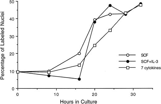 Fig. 6. Progression of cytokine-stimulated Lin−/Sca+ cells through G1 and into S phase of cell cycle. Lin−/Sca+ cells were incubated in medium containing SCF alone, SCF plus IL-3, or a cocktail of 7 cytokines (IL-3, IL-1α, GM-CSF, G-CSF, SCF, FGF, and CSF-1), and at indicated intervals duplicate aliquots of cells from each group were analyzed for 3H-thymidine incorporation followed by autoradiography to assess the percentage of cells with labeled nuclei as described in the Materials and Methods.