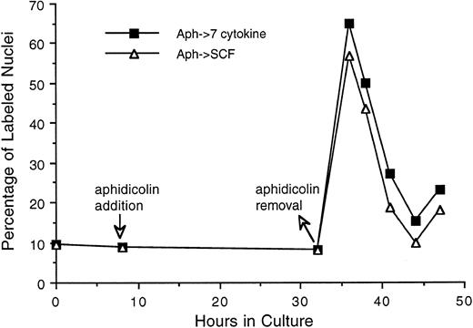 Fig. 7. Progression of Lin−/Sca+ cells synchronized at G1 /S boundary by aphidicolin treatment through S phase. Freshly isolated Lin−/Sca+ cells were incubated in medium containing 7 cytokines. From 8 to 32 hours thereafter, cells were treated with aphidicolin as indicated by the arrows. Cells were then washed once with cytokine-free medium and incubated with medium containing either 7 cytokines or SCF alone. At indicated intervals, duplicate aliquots of cells from each group were analyzed for 3H-thymidine incorporation followed by autoradiography to assess the percentage of cells with labeled nuclei as described in the Materials and Methods.