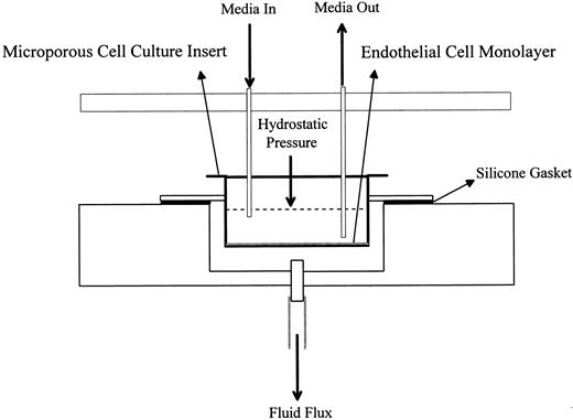 Fig. 1. Schematic representation of a filtration unit. This is one of 12 units arranged in a 2 by 6 array in the TEFF apparatus.