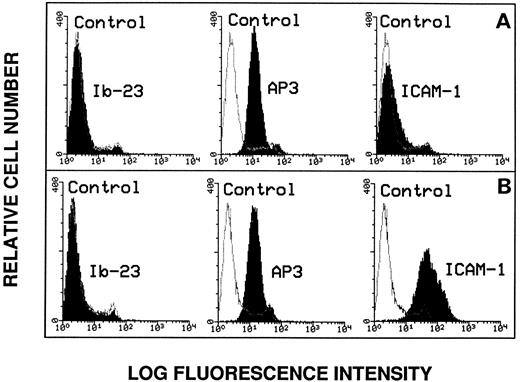 Fig. 3. Flow cytometry analysis of endothelial cell surface markers. The anti-GPIbα MoAb Ib-23 binding to nonstimulated cells (A) was compared with its binding to TNFα-stimulated cells (B). Cells were incubated with 10 μg/mL of the primary antibody followed by a 100-fold dilution of FITC-conjugated secondary antibody and examined by flow cytometry. Ib-23 does not recognize endothelial cells, whereas the AP3 anti-β3 subunit MoAb was used as a positive control of both cell populations and the anti–ICAM-1 MoAb was used as a positive control for cell stimulation. The negative controls are represented by the nonshaded peaks. Shaded areas are representative of fluorescence depicted (from left to right) in the presence of Ib-23, AP-3, and anti–ICAM-1 antibody.