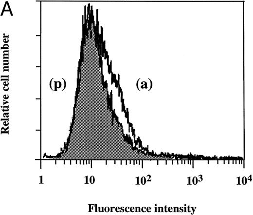 Fig. 5. Flow cytometry of the effect of dilazep on TF antigen expression on the surface of HUVECs stimulated with TNF, thrombin, or PMA. HUVECs were stimulated for 5 hours with each stimulant. (A) Control, (B) 1,000 U/mL TNF, (C) 25 nmol/L thrombin, and (D) 5 nmol/L PMA, in the presence (p) or absence (a) of 100 μg/mL dilazep. The cells were then harvested, incubated with murine monoclonal antihuman TF IgG, and then incubated with FITC-labeled goat antimouse IgG-antibody. Fluorescence intensity was determined by FACScan as described in the Materials and Methods, and the data are displayed using a logarithmic scale.
