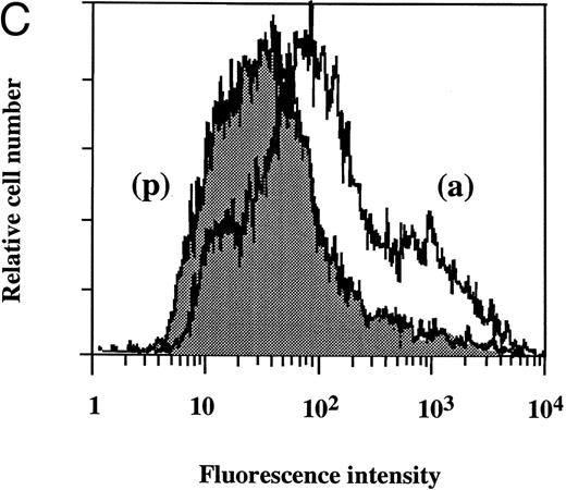 Fig. 5. Flow cytometry of the effect of dilazep on TF antigen expression on the surface of HUVECs stimulated with TNF, thrombin, or PMA. HUVECs were stimulated for 5 hours with each stimulant. (A) Control, (B) 1,000 U/mL TNF, (C) 25 nmol/L thrombin, and (D) 5 nmol/L PMA, in the presence (p) or absence (a) of 100 μg/mL dilazep. The cells were then harvested, incubated with murine monoclonal antihuman TF IgG, and then incubated with FITC-labeled goat antimouse IgG-antibody. Fluorescence intensity was determined by FACScan as described in the Materials and Methods, and the data are displayed using a logarithmic scale.