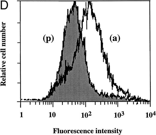Fig. 5. Flow cytometry of the effect of dilazep on TF antigen expression on the surface of HUVECs stimulated with TNF, thrombin, or PMA. HUVECs were stimulated for 5 hours with each stimulant. (A) Control, (B) 1,000 U/mL TNF, (C) 25 nmol/L thrombin, and (D) 5 nmol/L PMA, in the presence (p) or absence (a) of 100 μg/mL dilazep. The cells were then harvested, incubated with murine monoclonal antihuman TF IgG, and then incubated with FITC-labeled goat antimouse IgG-antibody. Fluorescence intensity was determined by FACScan as described in the Materials and Methods, and the data are displayed using a logarithmic scale.