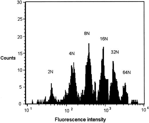 Fig. 1. Representative DNA histogram of GPIIbIIIa-positive cells grown in liquid culture. Equine low-density marrow cells were cultured in the presence of Pre-Tp foal serum, labeled with an anti-GPIIbIIIa antibody, stained with propidium iodide, and analyzed by flow cytometry. The position of the 2 N peak was determined by setting markers for peak propidium iodide staining of PBMCs from a normal horse. Three thousand GPIIbIIIa-positive cells were analyzed. Ploidy distribution is similar to that obtained in MK cultures exposed to preinfection serum and normal horse serum.