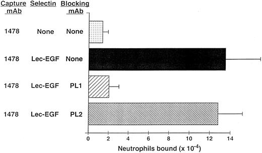 Fig. 6. Neutrophil adhesion to MoAb-captured Lec-EGF under static conditions. Microtiter wells were coated with the MoAb 1478. Lec-EGF was captured in the indicated wells at a density of 2,780 sites/μm2. Neutrophils preincubated in the presence or absence of the anti–PSGL-1 MoAbs PL1 or PL2 were then added to the wells. Adhesion under static conditions was measured as described in the Materials and Methods. The data represent the mean ± SD of triplicate determinations. Similar results were obtained in two other experiments.