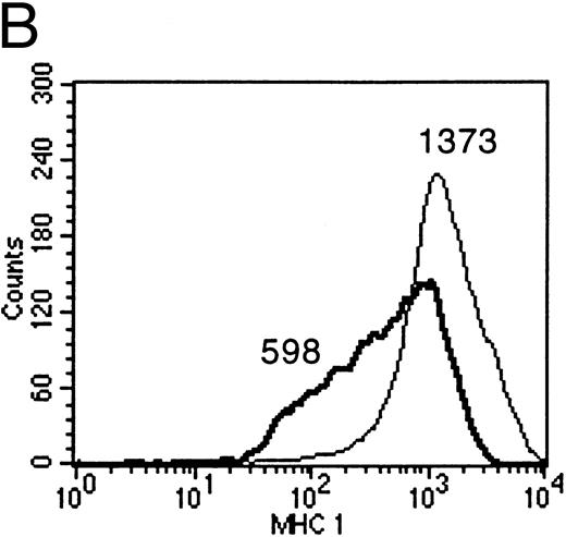 Fig. 6. (A) Flow cytometric analysis shows the downregulation of surface MHC class I molecules on peripheral blood B cells after incubation for 2 days with B95.8 supernatant, VFS, or hIL-10 (200 pg/mL) or vIL-10 (200 pg/mL) derived from transiently transfected Cos7 cells. Results are given as mean fluorescence intensity values. The mean value of a reference antibody was less than 5 as a negative control (not shown). The mean fluorescence value of the control cells incubated with cell culture medium was 313 (RPMI 313). (Thin line) MHC class I expression on control cells incubated with cell culture medium, containing 1% of supernatant from untransfected Cos7 cells. (Thick line) MHC class I expression on the same cells treated with either B95.8, VFS, vIL-10, or hIL-10, which showed mean fluorescence intensity values of 139, 147, 178, and 196, respectively. (B) The same effect was observed with cells incubated in cell culture medium containing purified recombinant human IL-10 (0.03 μg/mL rIL-10) in comparison with cell culture medium only. Mean fluorescence values were 1,373 and 598, respectively.