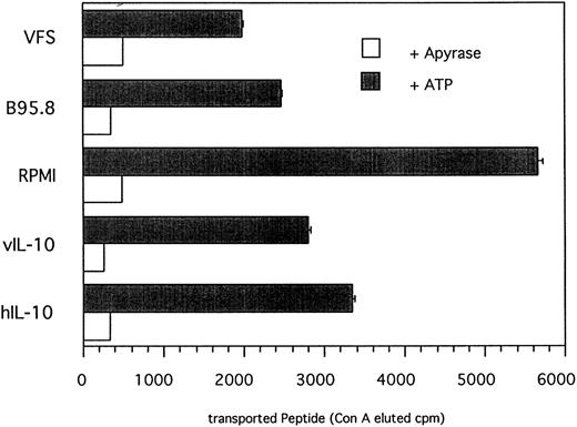 Fig. 7. TAP-dependent peptide translocation is significantly reduced in primary B lymphocytes incubated with B95.8 supernatant, VFS, or recombinant hIL-10 and vIL-10 in comparison with control cells incubated with cell culture medium RPMI containing supernatant from untransfected Cos7 cells. Primary B lymphocytes were incubated with the different supernatants as indicated for 2 days and permeabilyzed with Streptolysin O, and the 125I-labeled peptide RRYQNSTEL was added. Peptides that are translocated into the endoplasmatic reticulum become N-glycosylated at the position NST. Glycosylated peptides were retained on Concanavalin A-coupled sepharose matrix and eluted with α-methyl mannoside, and the eluted radioactivity was determined in a γ-counter. Results are given as ConA-eluted cpm. The addition of apyrase shows that the translocation of peptide is strictly ATP-dependent. The representative results of one of two experiments are shown.