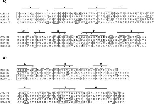 Fig. 6. Ig-like domains of HLy9-β. HLy9-β Ig-like domains are compared with HumLy9 and human CD48. Solid lines above the sequence predicted β-sheets. Conserved residues appear in stippled boxes. Gaps are indicated with broken line to allow optimal alignment of the proteins. (A) First Ig-Like domain; (B) Second Ig-like domain. * indicates conserved amino acids of the Ig superfamily.