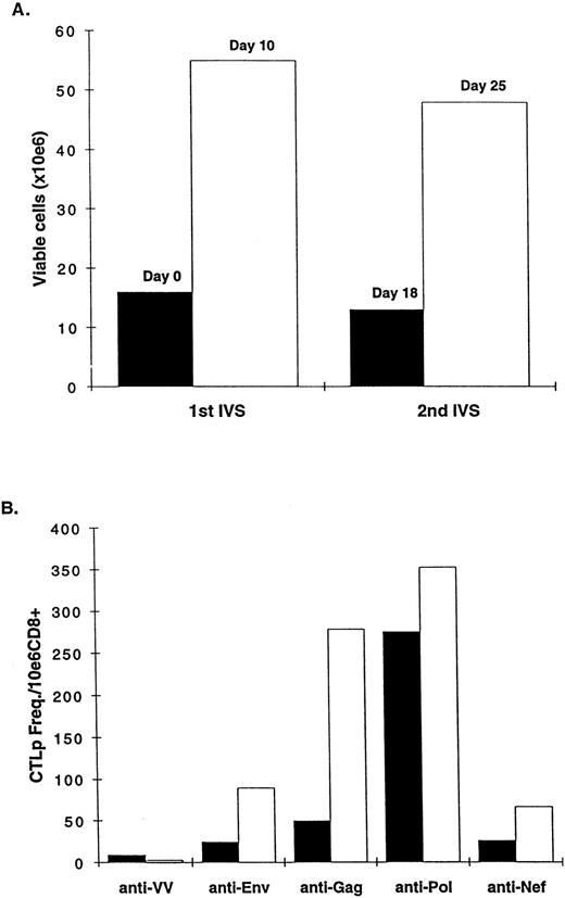 Fig. 4. (A) Cell expansion after two rounds of Ag-IVS of CD8+ lymphocytes from patient no. 2. (B) CTL frequencies were calculated by LDA after the first and second IVS with vCP300 (days 10 and 25, respectively) and reported as CTLp frequency per 1 × 106 lymphocytes. (▪) After first IVS; (□) after second IVS.