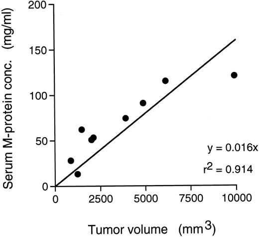 Fig. 6. Relationship between tumor volume and serum M-protein in SC transplanted mice with KPMM2.