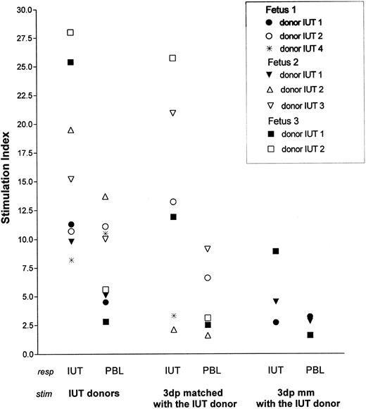 Fig. 3. IUT patients (IUT) and donors that were HLA-DR matched with these patients (PBL) were used as responders (resp ) in the PLT. The original IUT donors and third-party individuals that were HLA-DR matched (3dp matched) and completely mismatched (3dp mm) with the original IUT donors were used as stimulators (stim ). HLA-DR typing: Fetus 1. DR 1, 16(2); PBL, DR 1, 15(2); IUT donor, 1 •. DR 1, 2 ○. DR11 (5), 4*. DR 3, 4; 3dp matched, 2 ○. DR 5, 4*. DR 3, 4; 3dp mm, • DR 6, 8. Fetus 2. DR 1, 7; PBL, DR 1, 7; IUT donor, 1 ▾. DR 1, 2 ▵. DR 11(5), 3 ▿. DR 6, 8; 3 dp matched, 2 ▵. DR 5, 3 ▿. DR 6, 8; 3dp mm, ▾ DR 3, 4. Fetus 3. DR 1, 4; PBL, DR 1, 4; IUT donor, 1 ▪. DR 6, 7, 2 □. DR 2, 4; 3dp matched, 1 ▪. DR 6, 7, 2 □. DR 2, 4; 3dp mm, ▪ DR 3, 8.