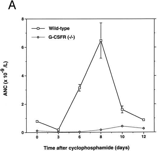 Fig. 1. Mobilization of hematopoietic cells into peripheral blood in response to cyclophosphamide. Peripheral blood was obtained at the indicated times after a single intraperitoneal injection of 200 mg/kg of cyclophosphamide and analyzed for (A) absolute neutrophil count (ANC), (B) colony-forming cells (CFU-C), and (C) CD34+ lineage− progenitors as described in Materials and Methods. Four to six age- and sex-matched mice were analyzed at each time point. Data represent the mean ± SEM.