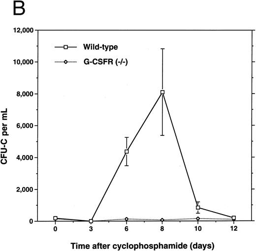 Fig. 1. Mobilization of hematopoietic cells into peripheral blood in response to cyclophosphamide. Peripheral blood was obtained at the indicated times after a single intraperitoneal injection of 200 mg/kg of cyclophosphamide and analyzed for (A) absolute neutrophil count (ANC), (B) colony-forming cells (CFU-C), and (C) CD34+ lineage− progenitors as described in Materials and Methods. Four to six age- and sex-matched mice were analyzed at each time point. Data represent the mean ± SEM.