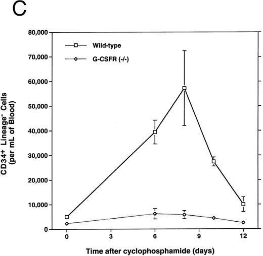 Fig. 1. Mobilization of hematopoietic cells into peripheral blood in response to cyclophosphamide. Peripheral blood was obtained at the indicated times after a single intraperitoneal injection of 200 mg/kg of cyclophosphamide and analyzed for (A) absolute neutrophil count (ANC), (B) colony-forming cells (CFU-C), and (C) CD34+ lineage− progenitors as described in Materials and Methods. Four to six age- and sex-matched mice were analyzed at each time point. Data represent the mean ± SEM.