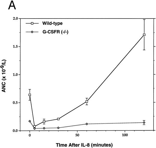 Fig. 4. Mobilization of hematopoietic cells into peripheral blood after IL-8 administration. Peripheral blood was obtained at the indicated times after a single intraperitoneal injection of 30 μg of human recombinant IL-8 and analyzed for (A) absolute neutrophil count (ANC) and (B) colony-forming cells (CFU-C). Four to six age- and sex-matched mice were analyzed at each time point. Data represent the mean ± SEM.
