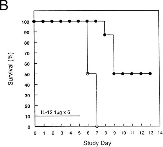 Fig. 2. Pretreatment of mice with rmIL-12 protects against subsequent rmIL-12–induced toxicity. Female C3H/Hej mice received a single subcutaneous injection of rmIL-12 (0.5 or 1 μg) or vehicle 7 days before consecutive dosing with rmIL-12 at the same dose (days 0 to 5). The percent survival of vehicle and rmIL-12 primed mice receiving either 0.5 μg (A) or 1 μg (B) of rmIL-12 is shown (n = 8 per treatment group). The results are representative of three separate experiments. (A) (□), Vehicle day −7; (▪), rmIL-12 day −7. (B) (○), Vehicle day −7; (•), rmIL-12 day −7.
