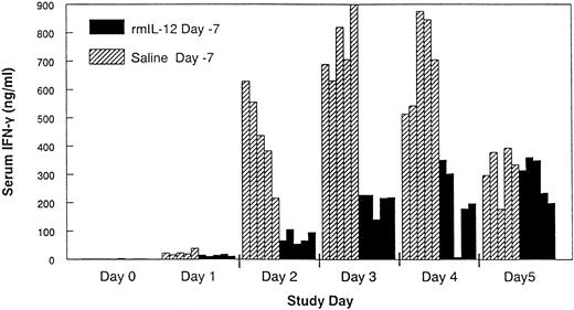 Fig. 3. Pretreatment with rmIL-12 attenuates the IFN-γ response following subsequent rmIL-12 administration. Mice received a single injection of either rmIL-12 (0.5 μg) or vehicle 7 days before daily rmIL-12 administration (days 0 to 5). Serum was collected by cardiac puncture during the period of daily rmIL-12 administration and IFN-γ measured by standard ELISA techniques. Individual mouse IFN-γ measurements are shown. Comparable results were seen in a separate experiment.