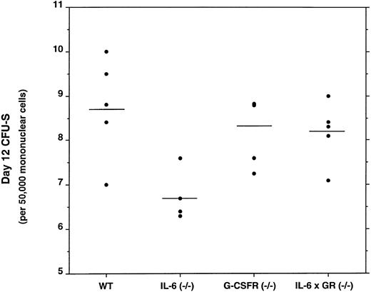 Fig. 4. Frequency of day 12 CFU-S in the bone marrow. Five sex- and age-matched donors of each genotype were analyzed. Each data point represents the mean number of day 12 CFU-S detected in a minimum of five recipient animals injected with bone marrow mononuclear cells from a single donor. The horizontal lines represent the mean of this data.