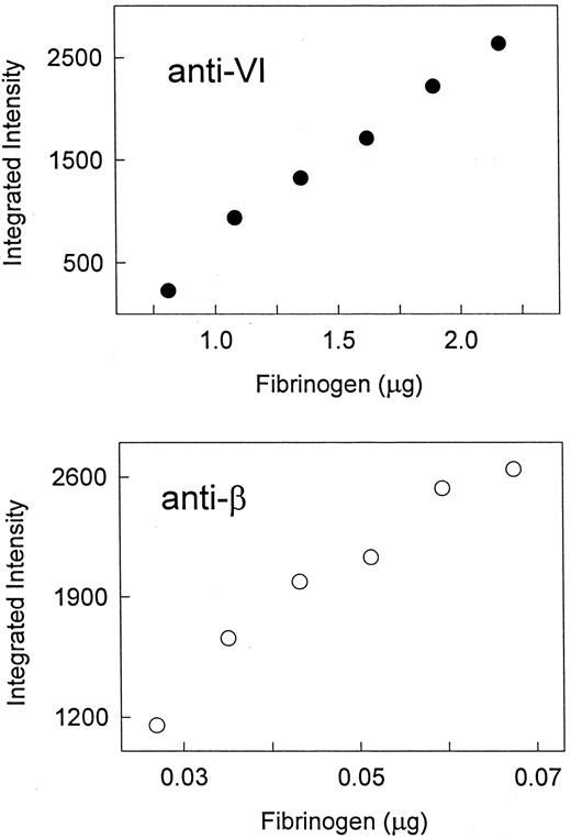 Fig. 4. Quantitative assay of αE and β subunits in plasma: linear range of Western blot analysis. A plasma sample (adult) was diluted to the micrograms of total fibrinogen per lane as indicated on the abscissa, and analyzed by Western immunoblotting with either anti-VI or anti-β, as indicated. Integrated intensity of the single band obtained with each antibody, as quantified by computer analysis, is plotted on the ordinate.