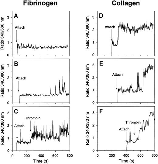 Fig. 2. Calcium responses of single platelets evoked by adhesion to fibrinogen or collagen matrices. Fura-2–labeled platelets were allowed to adhere to fibrinogen (A through C) or collagen (D through F ) surfaces in the presence of 2 mmol/L CaCl2 and 0.2 U/mL apyrase; 2 nmol/L α-thrombin was given during the experiments where indicated. Timepoints of attachment are marked by arrows. Representative traces of individual platelets are given from at least 10 independent experiments.