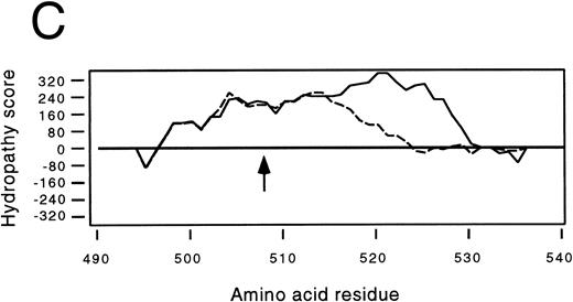 Fig. 2. Effects of the dinucleotide deletion on the secondary structure of GPIbα. (A) DNA sequence analysis of GPIbα from a normal individual (bottom) and the patient (top). Nucleotides 2059 and 2060 are deleted in the patient; deleted nucleotides are shown with an arrow. (B) Alignment of the transmembrane region (doubly underlined) of the wild-type GPIbα and the mutant protein (GPIbαΔAT). The start of the alternate reading frame resulting from the AT deletion in the mutant coding sequence is shown in bold type. The charged amino acids following the transmembrane region are shown with a +. (C) Hydropathy plot using the method of Kyte and Doolittle39 performed on the transmembrane and surrounding amino acids of the wild-type GPIbα and GPIbαΔAT. The hydropathy plot for the mutant protein is shown as a broken line.