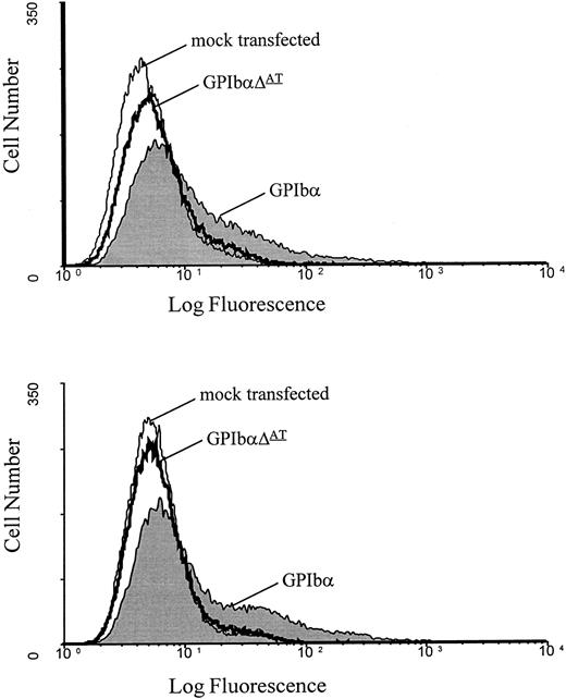 Fig. 5. FACS analysis of GPIbα and GPIbαΔAT-transfected CHO βIX cells. Analysis of transfected cells with the MoAbs AP-1 (top) and MBC 142.11 (bottom). There is no significant increase in fluorescence with the mutant protein.