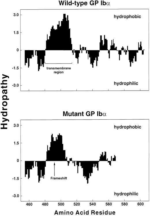 Fig. 8. Hydropathy analysis of wild-type and mutant polypeptides. The regions from amino acid residue 450 to the end of each polypeptide were analyzed by the method of Kyte and Doolittle,39 using a window of 10 residues, with GenePro software (Riverside Scientific, Seattle, WA).