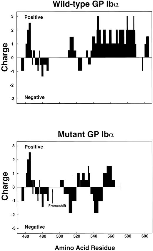 Fig. 9. Charge profile of wild-type and mutant polypeptides. Charge profiles of the 2 polypeptides were analyzed by assigning values of +10 to Arg and Lys, +5 to His, −10 to Asp and Glu, and 0 to the other amino acid residues, using GenePro software. The scan window was set at 10.