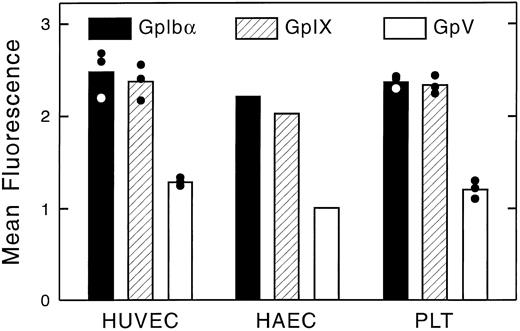 Fig. 7. Quantitation of surface fluorescence of GpIbα, GpIX, and GpV on HUVECs, HAECs, and platelets. Surface immunofluorescence was analyzed by flow cytometry, as shown in Fig 6. HUVECs and platelets were analyzed three times; HAECs were studied only once.