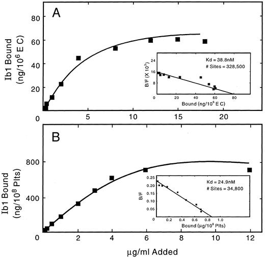 Fig. 9. Quantitation of surface GpIbα on HUVECs and platelets. HUVEC and platelet suspensions were incubated with 125I-MoAb Ib1, as described in Materials and Methods, and specific binding was analyzed using the method of Scatchard.