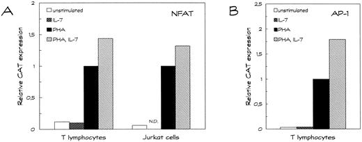 Fig. 5. IL-7 enhances the transcriptional activities of NFAT and AP-1. Human T lymphocytes, prestimulated as described in the Materials and Methods section, and the T-leukemia Jurkat cell line were transfected with 20 μg of (A) pCAT3e-3 × NFAT/IL-2, a CAT reporter construct under the control of three copies of the distal NFAT site from the human IL-2 promoter, or (B) pCAT-3 × AP-1/IL-2, a CAT reporter construct driven by three copies of the AP-1 site from the IL-2 promoter. Transfected cells were left alone for 1 hour, divided in four groups and subsequently left unstimulated or stimulated with IL-7 alone, PHA alone or PHA plus IL-7 for 24 hours. CAT expression was measured as described in Materials and Methods. The results are expressed as the relative CAT expression compared to the PHA-induced CAT expression, which was set at 1. The IL-7–induced CAT expression in Jurkat cells was not determined (ND). The mean found for the relative CAT expression in three to six independent experiments is shown.
