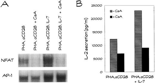 Fig. 6. The enhanced DNA binding activity of AP-1 induced by IL-7 in activated human T lymphocytes is CsA-resistant, while the NFAT DNA binding activity is CsA-sensitive. (A) Nuclear extracts were prepared from T cells stimulated for 2 hours with PHA plus anti-CD28 (aCD28) in the presence or absence of IL-7. CsA was added 30 minutes before stimulation. EMSAs were performed as described in Fig 3. (B) At the same time, cells were stimulated for 24 hours for IL-2–secretion measurements. The mean for the IL-2 secretion found in four independent experiments is shown.
