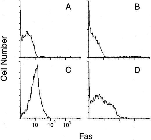 Fig. 6. FAS expression by CD34+ cells. BM cells isolated from a patient with PNH (A, C) and a healthy donor (B, D) were analyzed by two-color flow cytometry with FITC-labeled anti-CD34 and PE-labeled anti-FAS MoAbs before (A, B) and after (C, D) treatment with TNF-α and IFN-γ. FAS expression on the gated CD34+ cells is shown in the histograms. A second experiment with cells from four other patients with PNH and four healthy donors gave similar results.