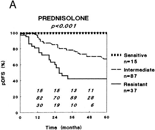Fig. 1. Relation between in vitro drug resistance and probability of DFS (pDFS) in newly diagnosed childhood ALL, for (A) prednisolone, (B) L-asparaginase, and (C) vincristine. The numbers in the figures along the X-axis indicate the patients at risk at the different time-points.