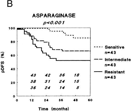 Fig. 1. Relation between in vitro drug resistance and probability of DFS (pDFS) in newly diagnosed childhood ALL, for (A) prednisolone, (B) L-asparaginase, and (C) vincristine. The numbers in the figures along the X-axis indicate the patients at risk at the different time-points.