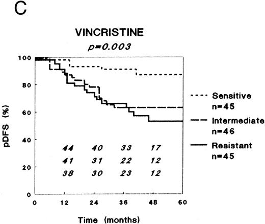 Fig. 1. Relation between in vitro drug resistance and probability of DFS (pDFS) in newly diagnosed childhood ALL, for (A) prednisolone, (B) L-asparaginase, and (C) vincristine. The numbers in the figures along the X-axis indicate the patients at risk at the different time-points.