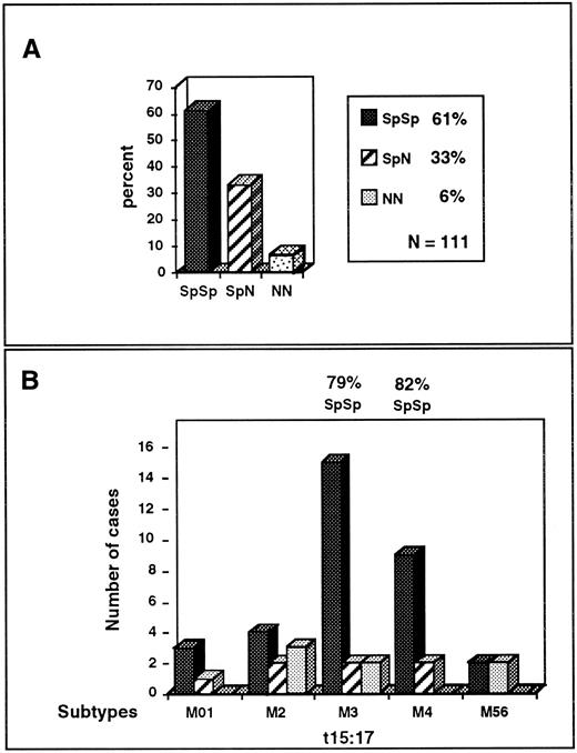 Fig. 2. Schematic representation of MPO genotypes in the normal population and in AML subtypes. (A) Relative percentage of SpSp, SpN, and NN genotypes in 111 normal donors. (B) Relative number of SpSp, SpN heterozygotes, or NN homozygotes in the various AML subtypes. Cases are from Table 1. Subtypes M0 through M6 approximate early to late stages of myeloid differentiation. The highest proportions of the SpSp genotype are seen in APL-M3 and -M4 subtypes, which have high MPO expression.