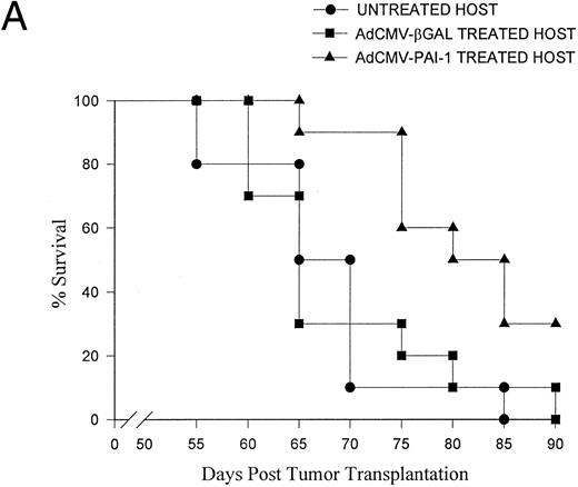 Fig. 3. Effect of AdCMV-PAI-1 gene transfer on survival of intraocular melanoma-bearing mice. BALB/c nude mice bearing intraocular OCM-1 human uveal melanomas were treated with: (A) two IC inoculations of either AdCMV-βGal or AdCMV-PAI-1 on days 7 and 9 post IC tumor inoculation or (B) three IV inoculations of either AdCMV-PAI-1 or AdCMV-βGal on days 21, 28, and 35 post IC tumor inoculation. There were 10 mice per group. AdCMV-PAI-1 treated groups were significantly different from untreated controls in both experiments (A, P = .001 and B, P = .007) using Wilcoxon's test.