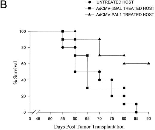 Fig. 3. Effect of AdCMV-PAI-1 gene transfer on survival of intraocular melanoma-bearing mice. BALB/c nude mice bearing intraocular OCM-1 human uveal melanomas were treated with: (A) two IC inoculations of either AdCMV-βGal or AdCMV-PAI-1 on days 7 and 9 post IC tumor inoculation or (B) three IV inoculations of either AdCMV-PAI-1 or AdCMV-βGal on days 21, 28, and 35 post IC tumor inoculation. There were 10 mice per group. AdCMV-PAI-1 treated groups were significantly different from untreated controls in both experiments (A, P = .001 and B, P = .007) using Wilcoxon's test.