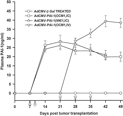 Fig. 4. Human PAI-1 plasma levels in mice treated with AdCMV-PAI-1 gene transfer. BALB/c nude mice bearing intraocular OCM-1 human uveal melanomas were treated with either two IC inoculations of either AdCMV-βGal or AdCMV-PAI-1 on days 7 and 9 post IC tumor inoculation or three IV inoculations of either AdCMV-PAI-1 or AdCMV-βGal on days 21, 28, and 35 post IC tumor inoculation. BALB/c nude mice bearing intraocular 99E1 melanoma were treated with two IC injections of AdCMV-PAI-1 given on days 7 and 9. Plasma was collected and the levels of human PAI-1 were quantified by capture ELISA. Results are expressed as mean ± SEM. There were 10 animals per group. ↑ = days of IC injections; ↓ = days of IV injections