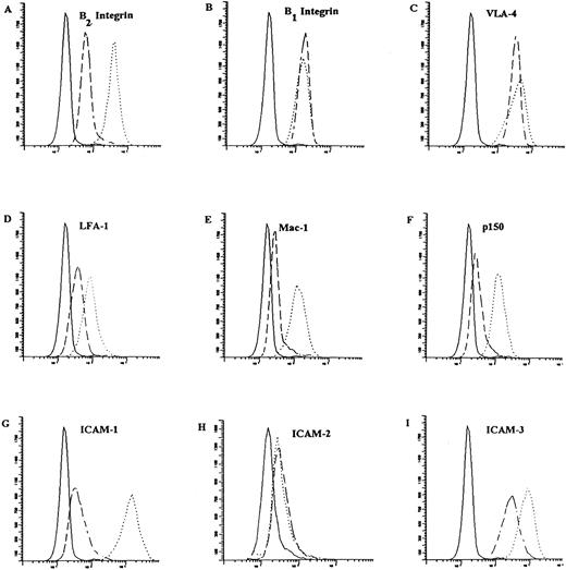 Fig. 5. Surface expression of adhesion molecules on NB-4 cells in response to treatment with 100 nmol/L tRA for 72 hours. The surface expression of integrins (except β1 integrin) and their counterstructure were determined as described in Materials and Methods using indirect immunofluorescence. β1 integrin (CD29) expression was determined by direct immunofluorescence. As a negative control for indirect immunoflroescence, a nonspecific IgG was substituted in the first step and FITC conjugated goat anti-mouse IgG was used as the indirect reagent. FITC conjugated goat anti-mouse IgG alone was used as the negative control for direct staining. Representative histograms are presented that show surface expression on NB-4 cells (- - - -) and NB-4 cells exposed to 100 nmol/L tRA for 72 hours (⋅⋅⋅⋅⋅⋅) as compared with a negative control ( — ). The surface expression of (A) LFA-1, (B) Mac-1, (C) p150, (D) β2 subunit, (E) β1 subunit, (F ) VLA-4, (G) ICAM-1, (H) ICAM-2, and (I) ICAM-3 are shown. The fold increase in expression of these surface receptors is described in the text. Fold increase in text represents three separate experiments with all samples run in parallel.