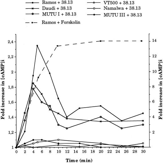 Fig. 4. Kinetics of intracellular cAMP changes in BL cells treated by 38.13 MoAb. CD77+ Ramos, Daudi, and MUTU I cells, and CD77− Namalwa, MUTU III, and VT500 cells were cultured with 38.13 anti-CD77 MoAb for various times, and cAMP concentrations were measured. Results are expressed in fold increase (left ordinate) of the basal cAMP level measured before stimulation (Ramos, 5.3; Daudi, 5.4; MUTU I, 2.3; Namalwa, 9; MUTU III, 3.2; VT500, 2.7 pmol/106 cells). The effect of forskolin (50 μmol/L) on cAMP concentrations (fold increase on the right ordinate) in Ramos cells is also shown. Results are representative of seven independent experiments.